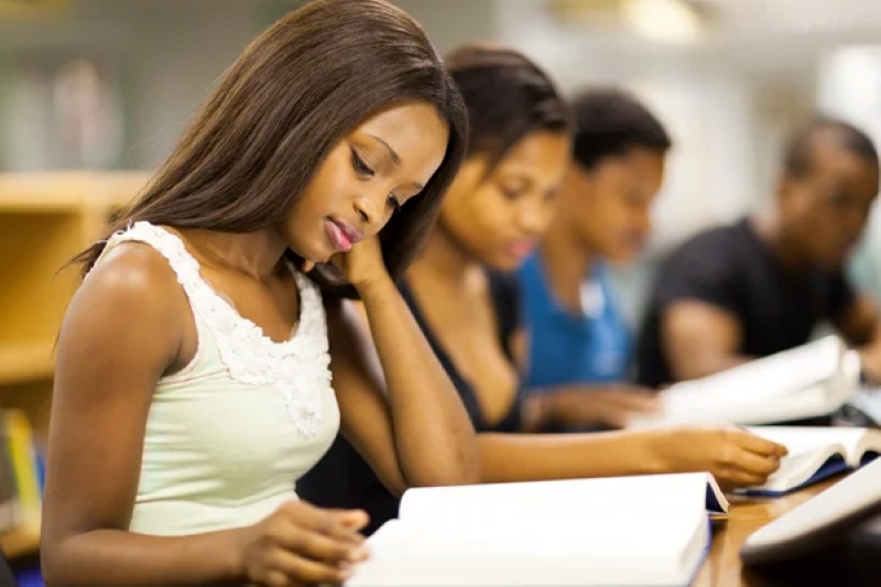 Sciences de la Gestion